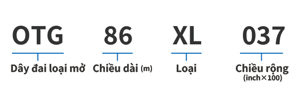 Dây đai cam G mở
