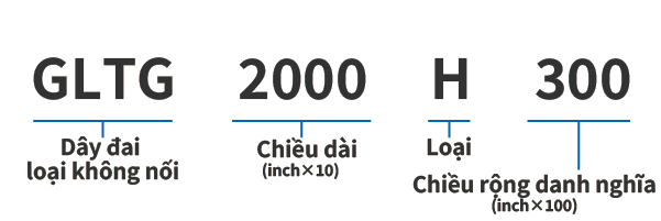 Dây đai cam G không nối