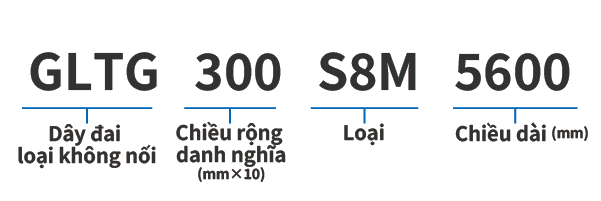 SUPER TORQUE G không nối