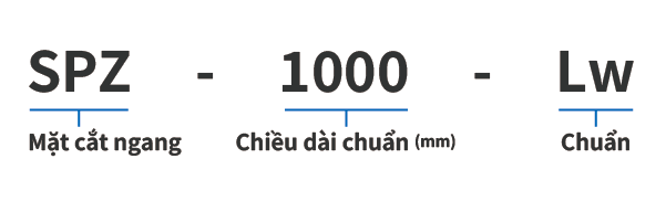 Dây đai Narrow Belt
