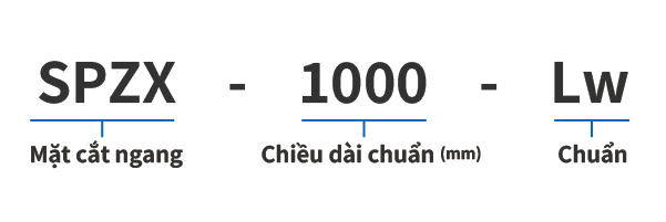 Dây răng narrow